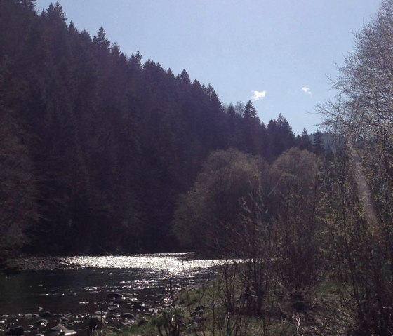 Surroundings