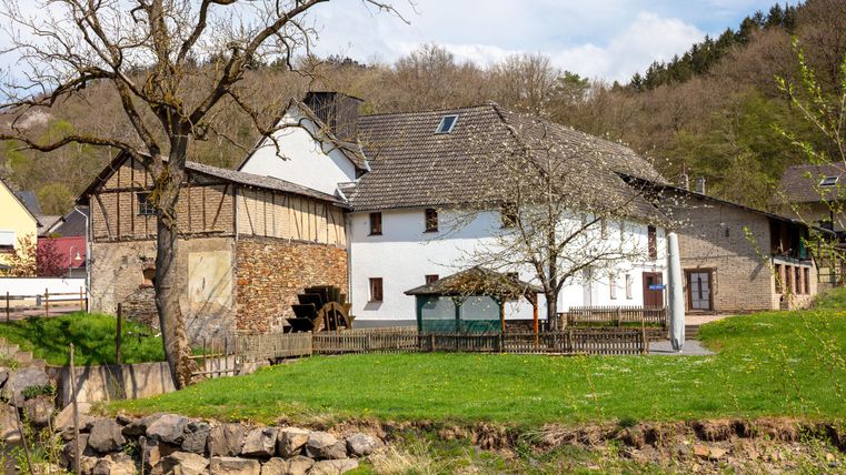An idyllic country house with traditional construction styles. In the foreground is a green meadow next to a small body of water.