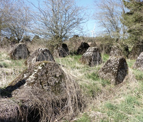 Sentier de randonnée du Westwall Est, © Tourist-Info islek