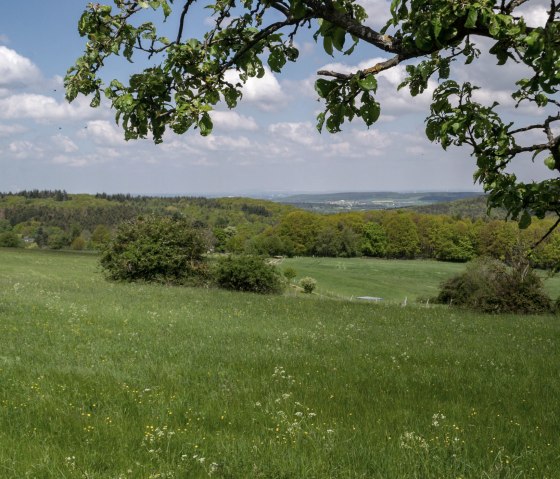 Eifelspur Kneipp hiking trail - Bad Münstereifeler Wald nature reserve, © Nordeifel Tourismus GmbH
