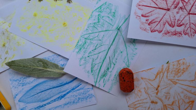 Eine Gruppe von Kindern steht in einem Garten und beobachtet Pflanzen. Ein Erwachsener erklärt etwas zu den Pflanzen im Hintergrund.
