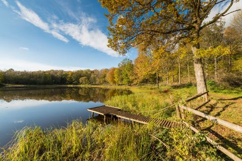 Windsborn kratermeer met een loopbrug, omgeven door herfstbossen.