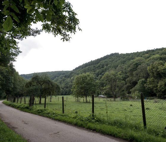 Réserve naturelle de la basse vallée du Kall, © some.oner