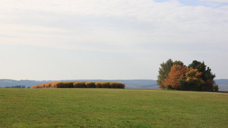 Wide green meadow with trees in fall foliage and a cloudy sky.