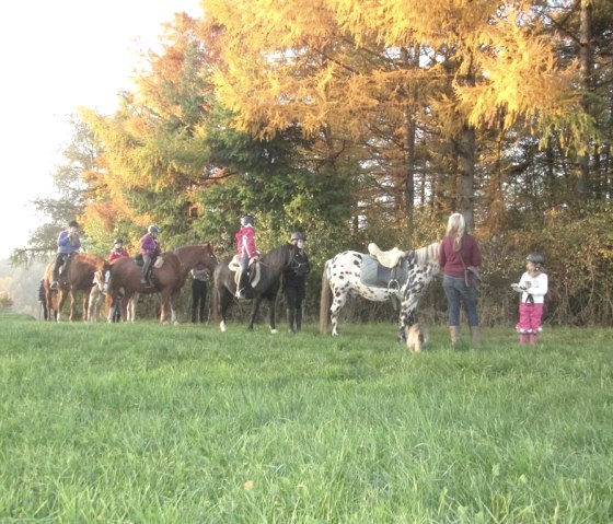 Trail ride