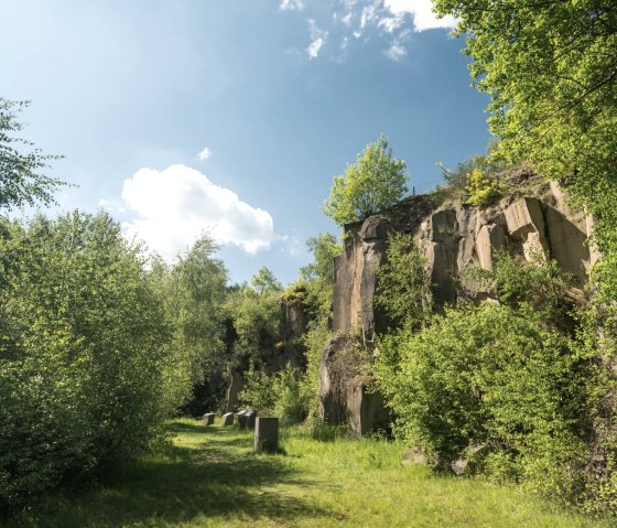 Rotswand in het Mayen mijnveld, © Rheinland-Pfalz Tourismus GmbH, D. Ketz