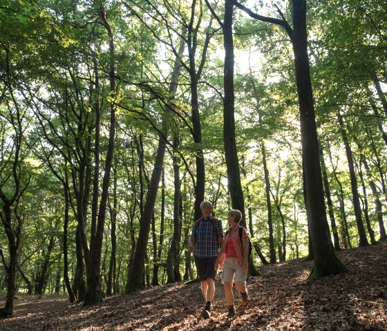 Op weg naar de Nitzblick, © Laura Rinneburger