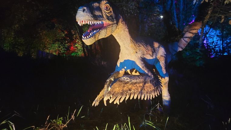 Un modèle de dinosaure se trouve dans une zone boisée et sombre. Il est illuminé par des lumières colorées, créant une atmosphère excitante.