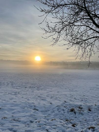 A winter field covered in snow, with the sunrise in the background. The sky is cloudy and foggy, creating a serene atmosphere.