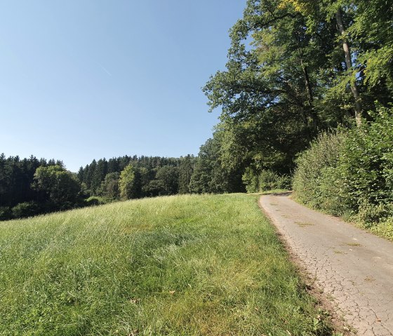 Un chemin étroit longe la lisière d'une forêt, entouré de prairies et d'arbres verts. Le ciel est clair et bleu., © Tourist-Information Bitburger Land