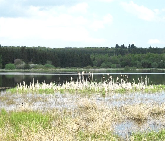 Jungferweiher