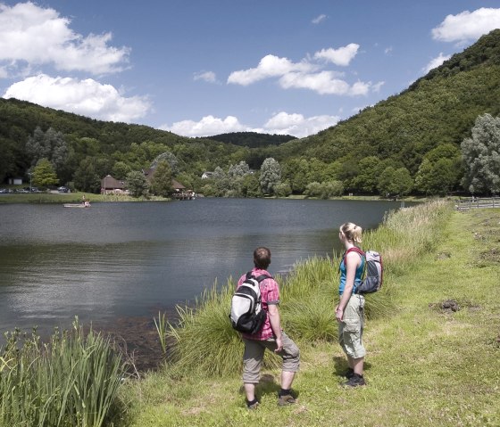 Waldseepfad Rieden - View of the forest lake, © Traumpfade