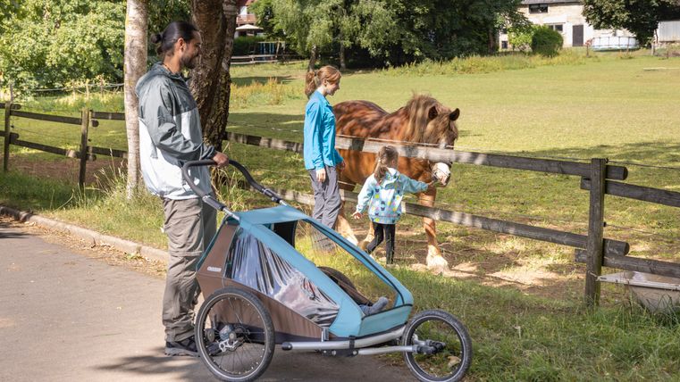 Een gezin met een kinderwagen staat bij een hek waar een kind een pony aait.