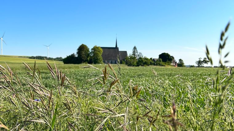 Een uitgestrekte wei met hoog gras en een helderblauwe lucht. Op de achtergrond is een kerk met een spitse toren te zien.