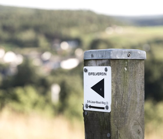 Landschaft_1, © Nordeifel Tourismus GmbH & Zum Goldenen Schaf 3