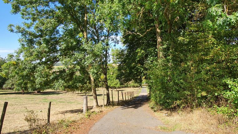 Een smal pad leidt door een groen landschap van bomen en weiden onder een blauwe hemel.