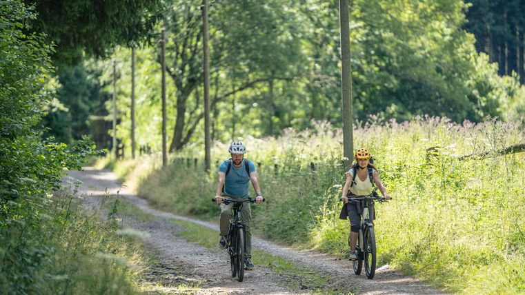 Two cyclists on a forest path in the Prethbach valley.