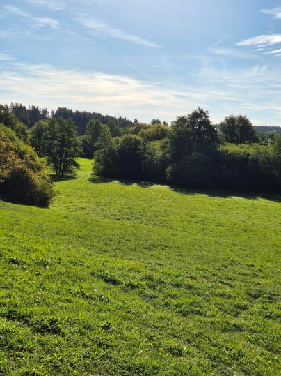 Eine grüne Wiese umgeben von Bäumen und sanften Hügeln. Der Himmel ist klar und blau.