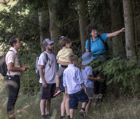 In het leefgebied van de bever, © Eifel Tourismus GmbH_Vollmer