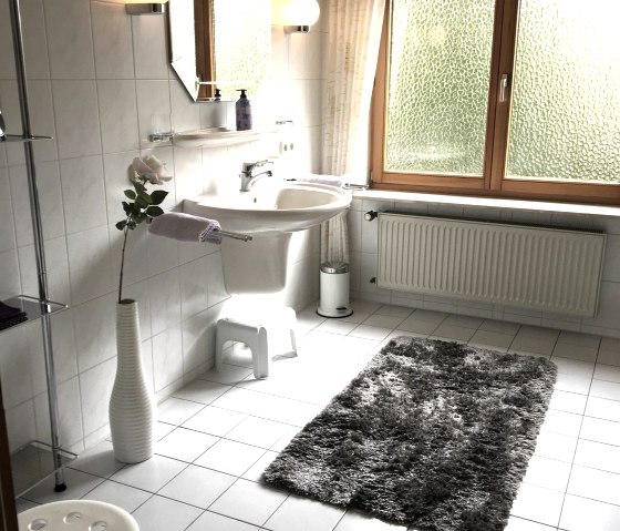 Badkamer1, © Eigenbrodt