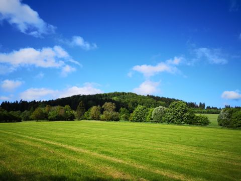 Groene weide voor een beboste heuvel onder een blauwe lucht met wolken.
