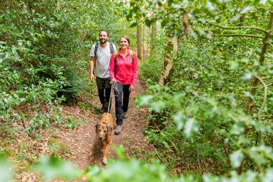 Mann und Frau wandern mit einem Hund durch einen Wald in der Eifel