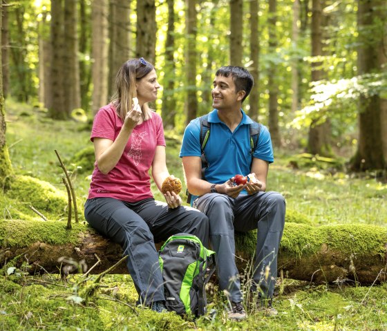 Idyllic hiking break in the Manscheider Bachtal valley, © Eifel Tourismus GmbH, Dominik Ketz