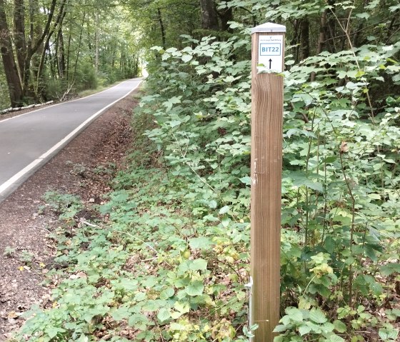 Ein Holzpfosten mit einem Schild 'BIT22' steht am Rand eines asphaltierten Weges im Wald. Der Weg führt durch dichten, grünen Wald., © TI Bitburger Land