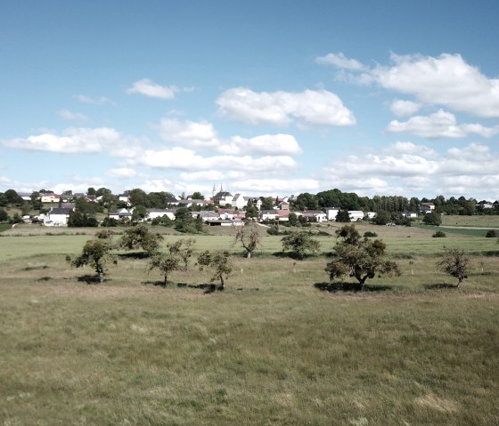 Des prairies vertes avec des arbres épars, le village d'Idenheim en arrière-plan sous un ciel bleu avec des nuages blancs., © Ingrid Penning