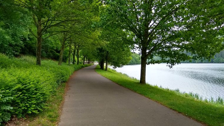 Ein asphaltierter Weg führt entlang eines Sees, gesäumt von Bäumen und grüner Vegetation.