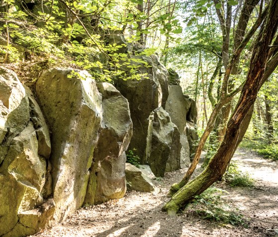Formations rocheuses volcaniques au Kottenheimer Winfeld, © Eifel Tourismus GmbH, Dominik Ketz