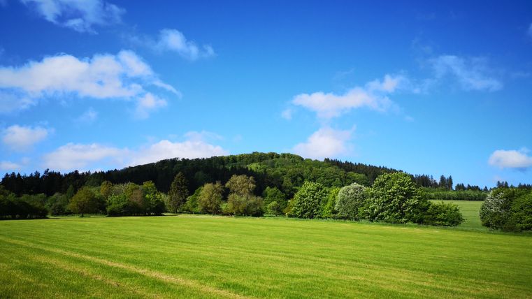 Green meadow in front of a wooded hill under a blue sky with clouds.