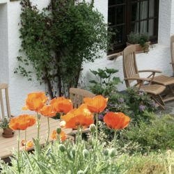 Terrasse Blumen, © Valet & Nordeifel Tourismus GmbH