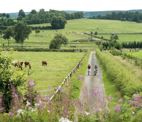 Fietstocht Eifel: Vennbahn, Wolfsbusch Montenau, © vennbahn.eu
