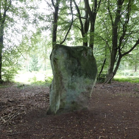 Druïdensteen Bollendorf van de "achterkant, © Elke Wagner