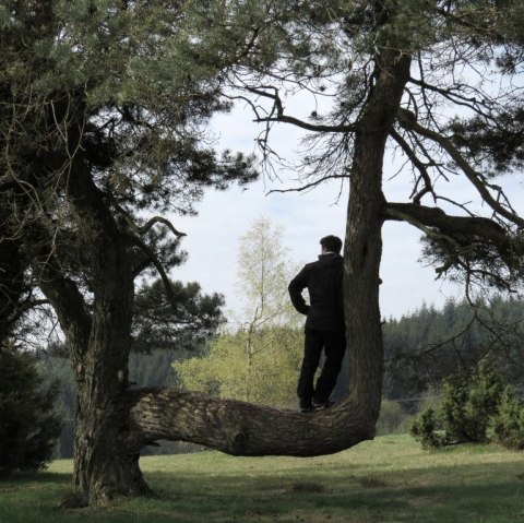 Unterwegs auf dem Traumpfad Bergeheidenweg, © Foto: Svenja Schulze-Entrup, Quelle: Touristik-Büro Vordereifel