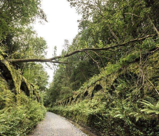 Exciting: The Lengel tunnel entrance on the Vennbahn, © vennbahn.eu