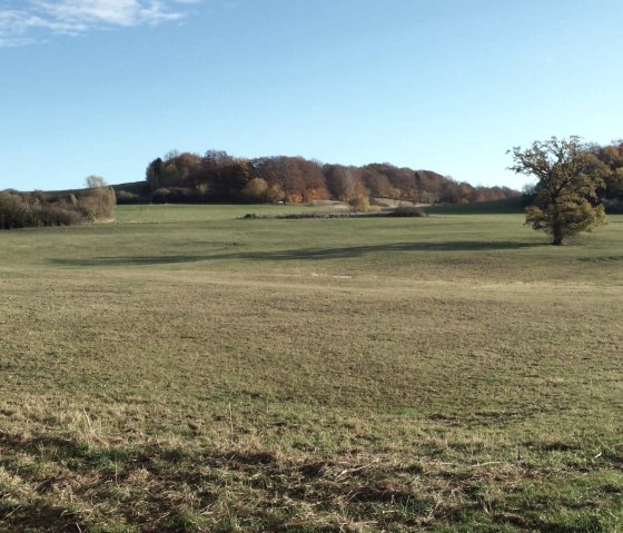 La nature à l'état pur