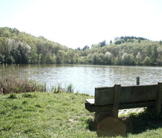 Bench at the Immerather Maar, © GesundLand Vulkaneifel/ H. Michels