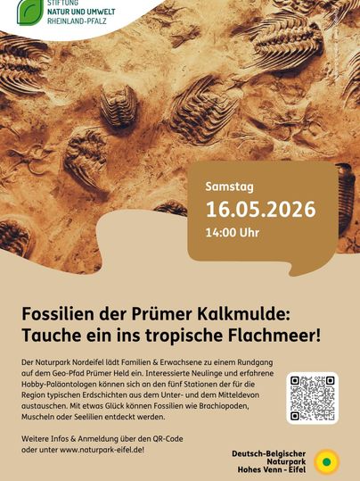Ein Informationsplakat über eine Veranstaltung im Naturpark Nordeifel. Es lädt zu einer Erkundung der Fossilien der Prümer Kalkmulde ein, die am 16. Mai 2026 stattfindet.