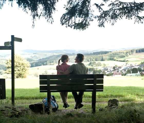 Banc de l'arbre Sassen, © Eifel Tourismus GmbH, Dominik Ketz