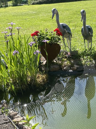 Un petit étang avec deux statues de grue se trouve dans un joli jardin. Autour de l'étang, des fleurs colorées éclosent et l'herbe est verte.