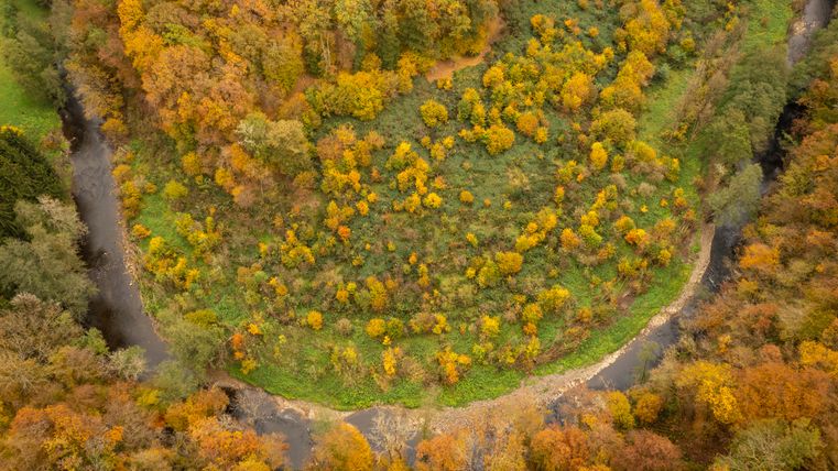 Luchtfoto van een rivier die door een herfstlandschap met kleurrijke bomen kronkelt.
