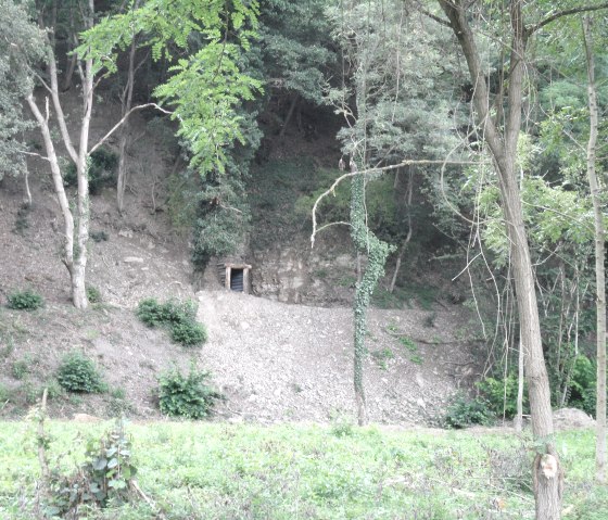 Trou d'or du champ de mines près d'Insul, © Gerd Spitzlay
