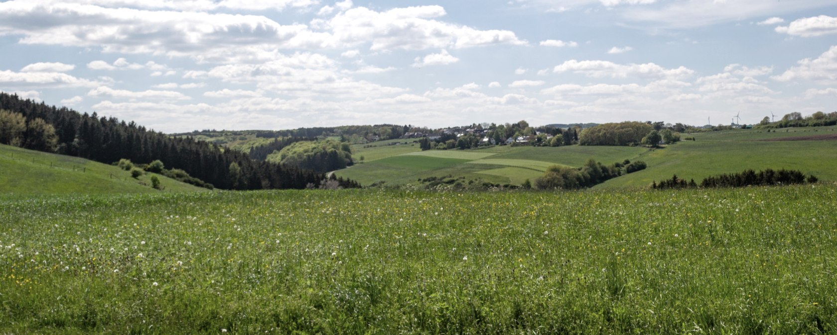 Eifelspur Münstereifelsteig - Natuurreservaat Erftaue, © Nordeifel Tourismus GmbH