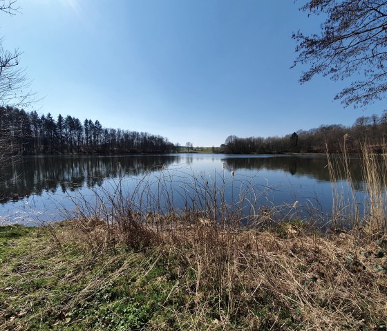 Das Holzmaar, © GesundLand Vulkaneifel GmbH