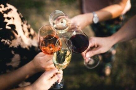 Eine Gruppe von Händen hebt Gläser mit verschiedenen Weinsorten an. Die Stimmung ist festlich und freundlich.