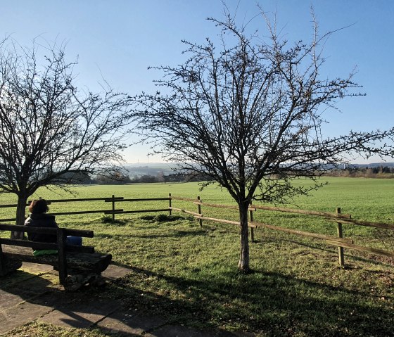 Une personne est assise sur un banc sous deux arbres dénudés, elle regarde une prairie verte. Le ciel est clair et bleu., © TI Bitburger Land - Steffi Wagner