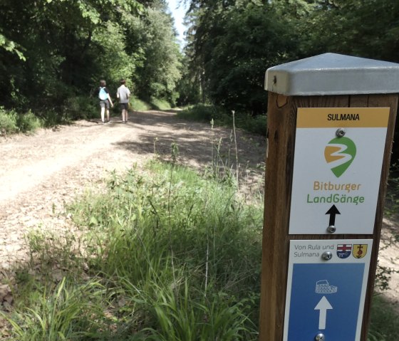 Balisage des sentiers de randonnée au bord du chemin, © TI Bitburger Land