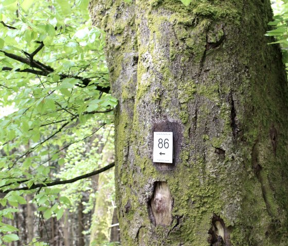 Marking hiking trail 86, © Gemeinde Simmerath